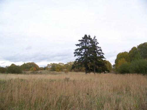 Herbstwiesen (100_0182.JPG) wird geladen. Eindrucksvolle Fotos aus Lettland erwarten Sie.